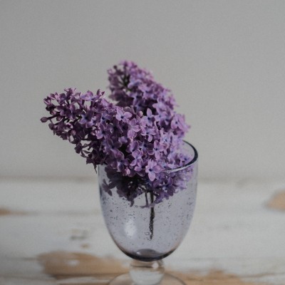 Váza fialková - půjčovna