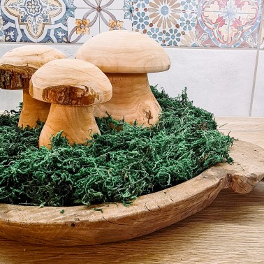 Dřevěné dekorační houby
