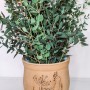 Váza přírodní s bylinkami - půjčovna
