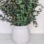 Váza bílá s bylinkami - půjčovna