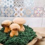 Dřevěná houba rustik - Velká - půjčovna